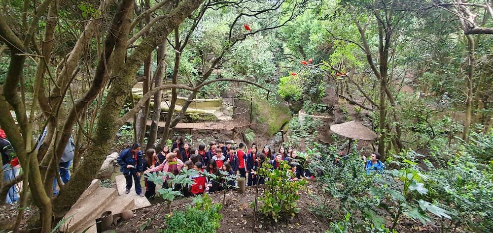 Salida pedagógica Parque Tricao