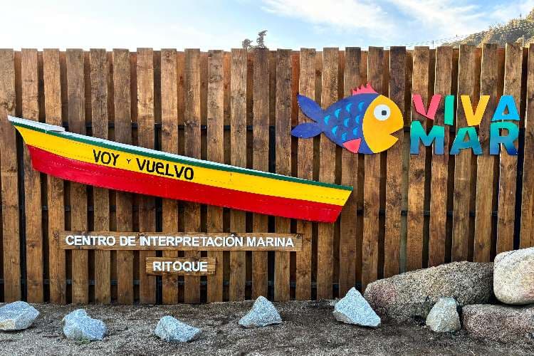 Salida pedagógica Acuario Viva Mar